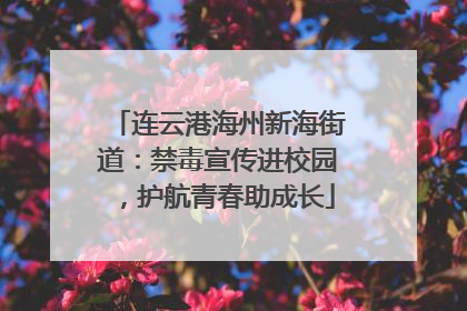 连云港海州新海街道：禁毒宣传进校园，护航青春助成长